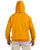 Gildan Dryblend Hooded Sweatshirt